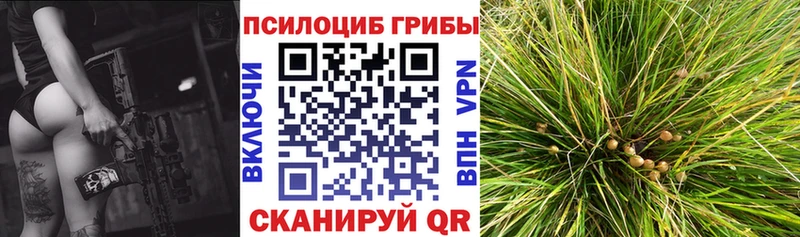 Псилоцибиновые грибы Magic Shrooms  купить   Ессентуки 