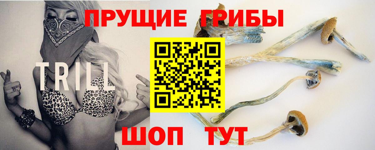 Псилоцибиновые грибы прущие грибы  Вход с VPN  Ессентуки  Галлюциногенные грибы мицелий 
